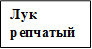 Лук репчатый