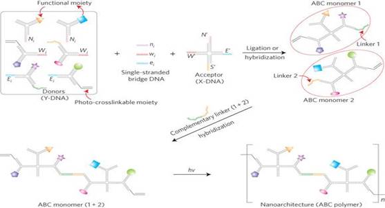 Картинки по запросу "Monomer"