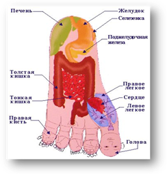 http://pionnier.gorod.tomsk.ru/uploads/2169/1239634293/s_03.jpg