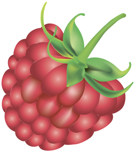 малина, ягода малины, красная ягода - cкачать бесплатно рендер Фрукты и  Овощи на Artage.io