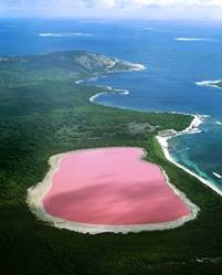 Хиллер - самое загадочное розовое озеро в мире | Журнал Популярная Механика