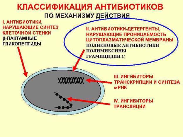 АНТИБИОТИКИ КЛАССИФИКАЦИЯ АНТИБИОТИКОВ ПО МЕХАНИЗМУ ДЕЙСТВИЯ I