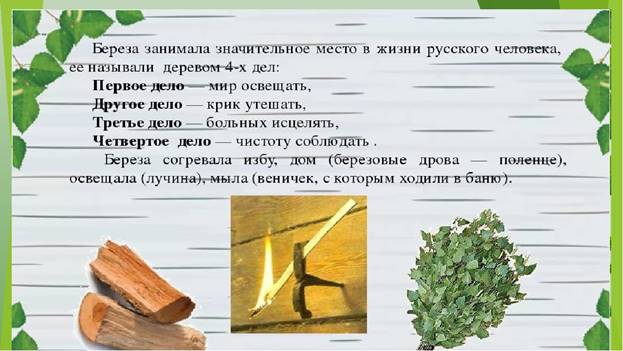 https://ds04.infourok.ru/uploads/ex/127d/00122764-3ca46b44/img12.jpg