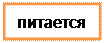 Блок-схема: процесс: питается

