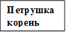 Петрушка корень
