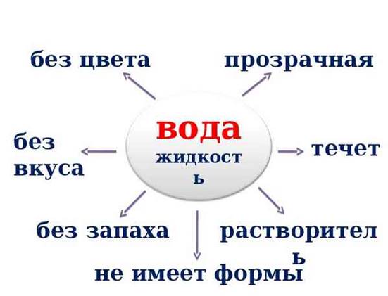 Свойства воды (3 класс, окружающий мир) в жидком состоянии > 6 пчел