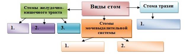 Стома виды. Виды стом схема. Классификация видов стом.