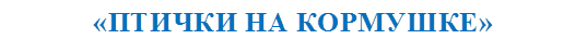 «ПТИЧКИ НА КОРМУШКЕ»