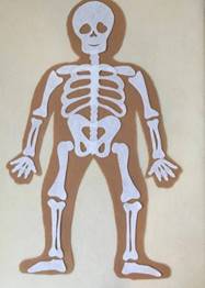 https://img.razrisyika.ru/kart/124/495919-skelet-cheloveka-dlya-detey-10.jpg