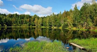 http://img1.liveinternet.ru/images/attach/c/8/102/618/102618059_lesnoe_ozero_10.jpg
