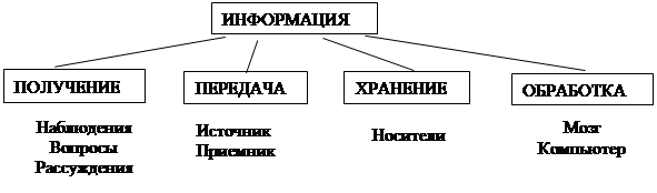 Привести примеры получения. Приведите пример хранения информации в живой природе. Приведите примеры передачи и получения информации в природе. Приведите пример передачи и хранения информации в живой природе. Получение , передача, обработка и хранение информации в живой природе,.