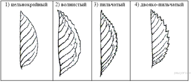 https://bio-oge.sdamgia.ru/get_file?id=222