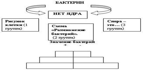 https://arhivurokov.ru/kopilka/uploads/user_file_54c3d730828a3/tiekhnologhichieskaia-karta-uroka-baktierii-stroieniie-zhizniedieiatiel-nost_6.jpeg