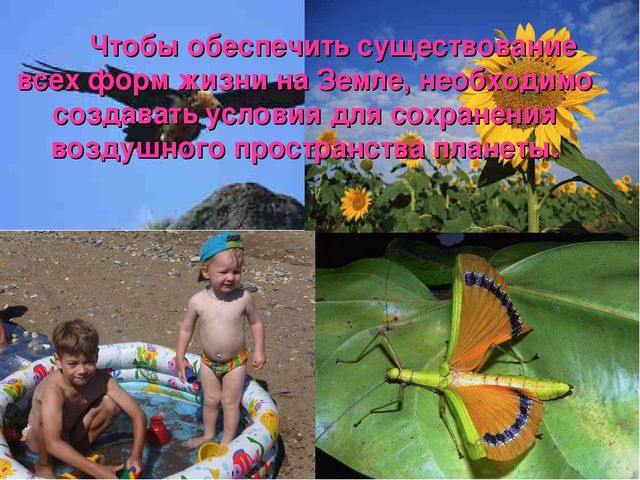 Чтобы обеспечить существование всех форм жизни на Земле, необходимо создават...