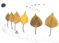 Картинки по запросу аппликации из кленовых листьев