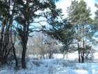 Описание: C:\Documents and Settings\Admin\Мои документы\Downloads\0_4fbf_8eede2fa_XL.jpg