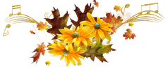 https://image.jimcdn.com/app/cms/image/transf/dimension=238x10000:format=png/path/sf278732f8691ebec/image/id0a9a5908552ff87/version/1536085079/image.png