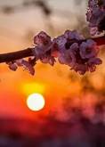 https://avatars.mds.yandex.net/i?id=6132cba59bb37d8086a763d782d8285a05fd5ba5-4985796-images-thumbs&n=13