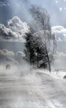 https://avatars.mds.yandex.net/i?id=8f50d44e724fd14c462c039f313365460e41e51f-5205265-images-thumbs&n=13