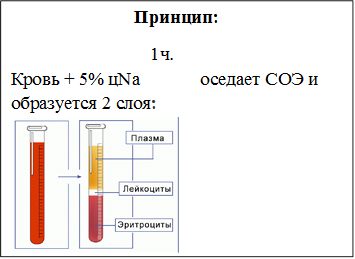 Принцип:
                              1ч.
Кровь + 5% цNa             оседает СОЭ и образуется 2 слоя:
 
