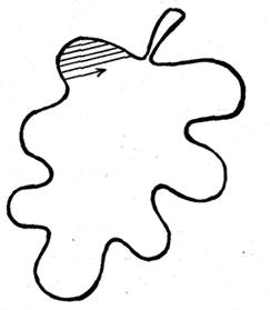 https://ds05.infourok.ru/uploads/ex/0c8e/0006c34d-2a161079/hello_html_1697285a.png
