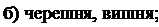 Надпись: б) черешня, вишня; 