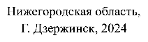 Нижегородская область,
Г. Дзержинск, 2024
