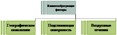 Организационная диаграмма