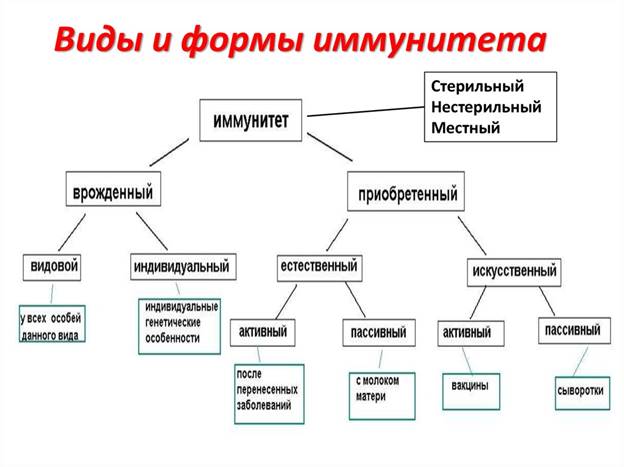 https://cf.ppt-online.org/files/slide/y/YPeQHfkcWBjuVo9Eis1pF24Db7GdnT3AKlNIXC/slide-46.jpg