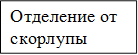 Отделение от скорлупы
