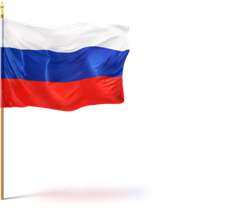 Ягоды годжи день государственного флага россии презентация Худеем вместе!