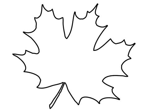 Picture background