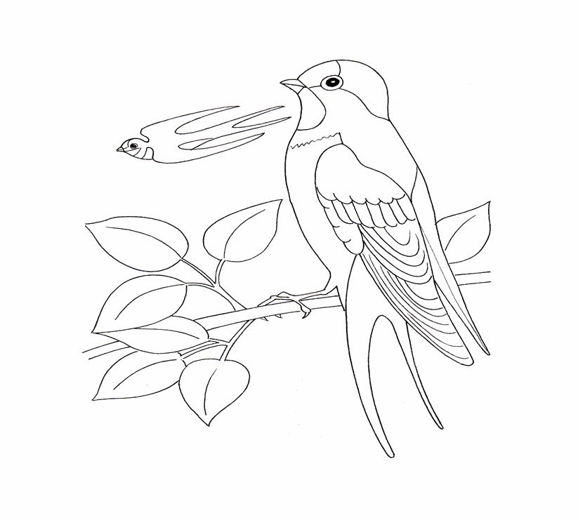 http://razykras.ru/fauna/img/Birds_coloring_pages_18.gif