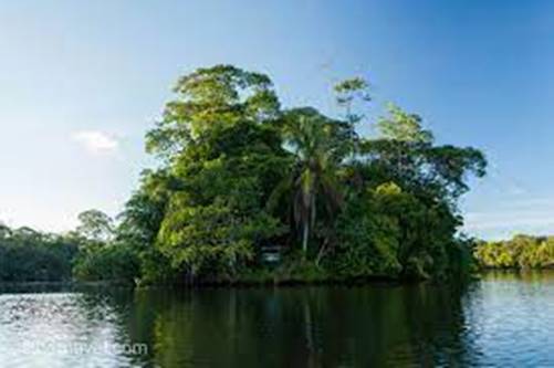 Parque Nacional Tortuguero - Area de Conservacion Tortuguero