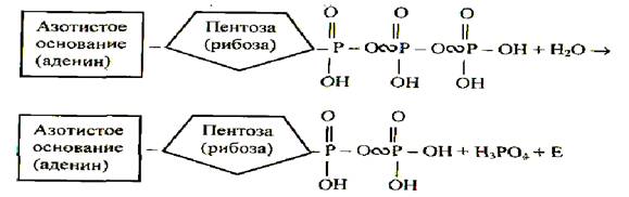 http://pandia.ru/text/78/037/images/image001_226.jpg