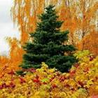 https://avatars.mds.yandex.net/i?id=3eef30eab2e791846b6064f14fea0eed395cc4cb-11394427-images-thumbs&n=13