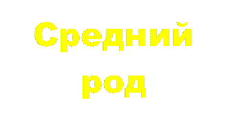 Средний 
род
