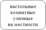 настольные
комнатные
уличные
на местности


