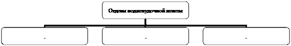 Организационная диаграмма