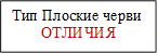 Тип Плоские черви
ОТЛИЧИЯ
