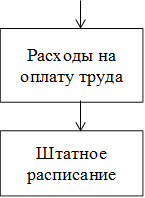 Расходы на оплату труда,Штатное расписание