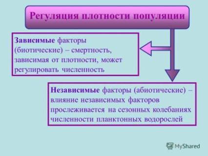 https://xn--j1ahfl.xn--p1ai/data/images/u144886/t1515656035ae.jpg