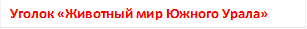 Уголок «Животный мир Южного Урала»