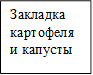 Закладка картофеля и капусты