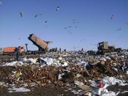 http://greenevolution.ru/wp-content/uploads/2014/05/%D0%A1%D0%B2%D0%B0%D0%BB%D0%BA%D0%B8-%D0%A2%D0%91%D0%9E-630x472.jpg
