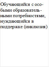 Обучающийся с осо-быми образователь-ными потребностями, нуждающийся в поддержке (инклюзия)

