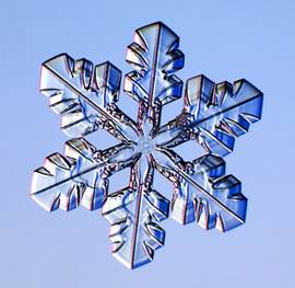 close_up_photos_of_snowflakes_14.jpg