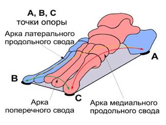 Картинка 2 из 2365