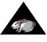 https://fsd.multiurok.ru/html/2017/03/10/s_58c2e654c803d/583315_4.png