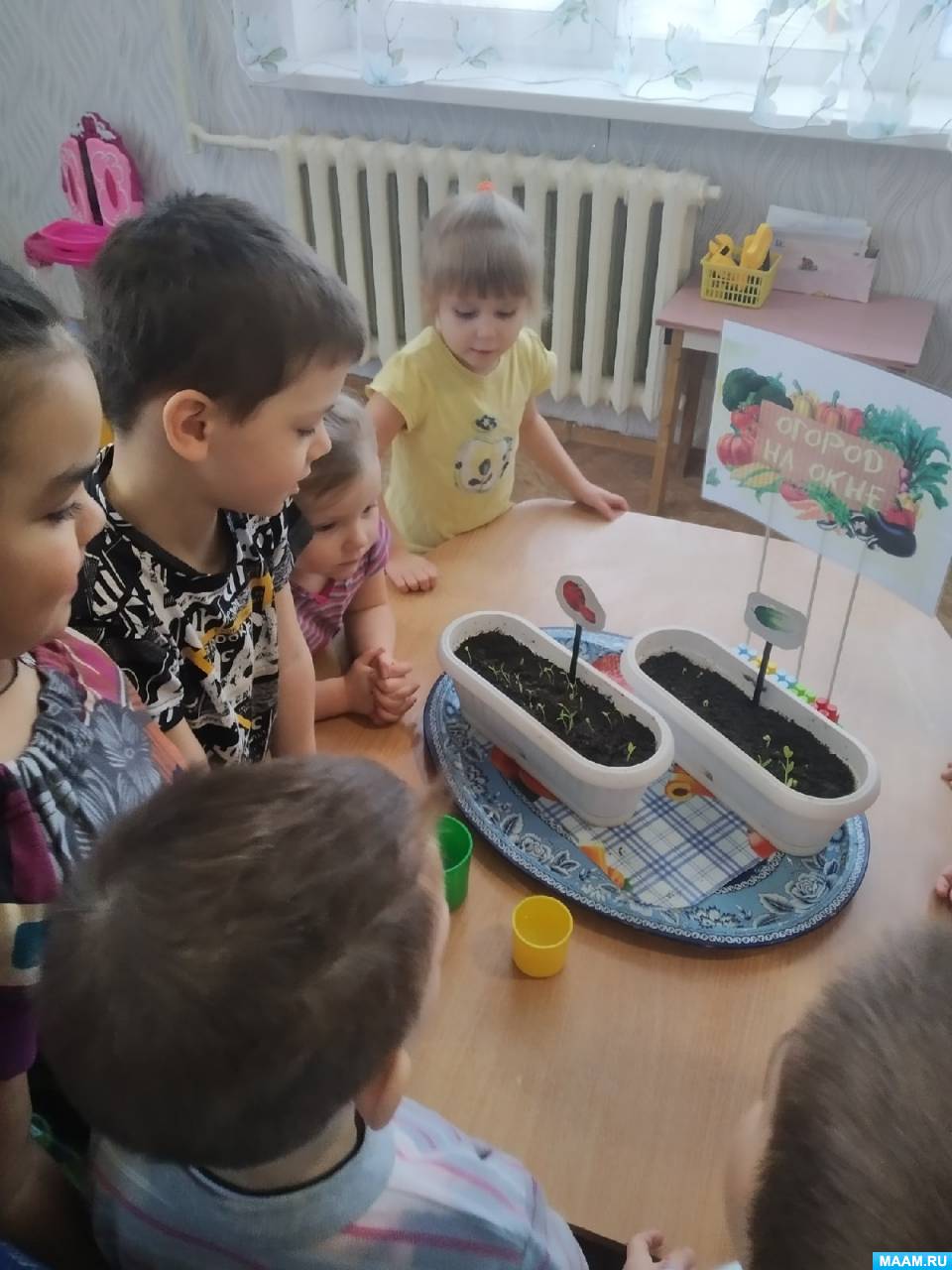 Фото «Огород на окне»